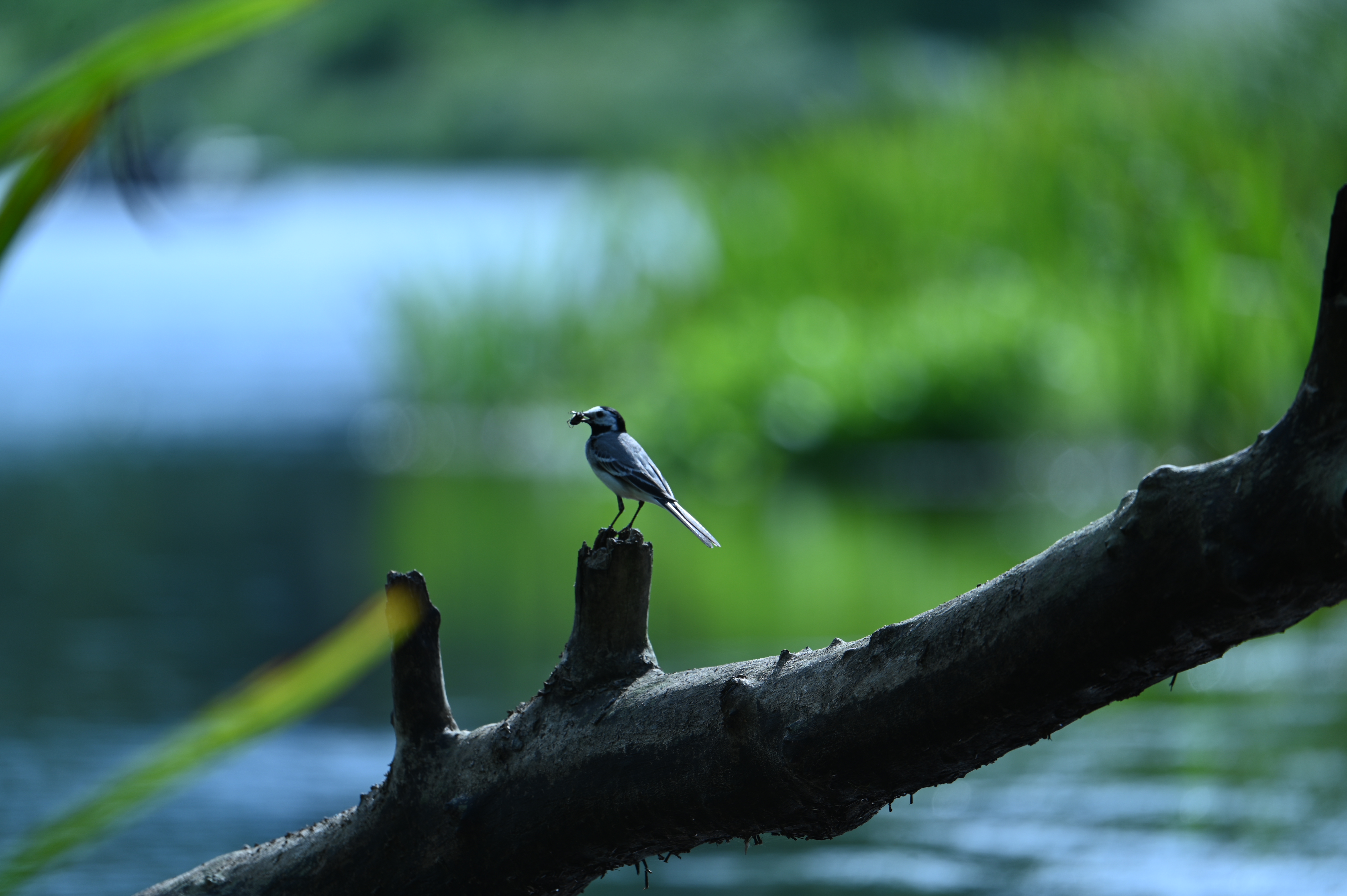 2025/07/09-14 - trip/DSC_0343.JPG